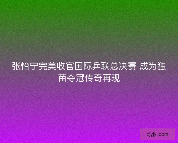 张怡宁完美收官国际乒联总决赛 成为独苗夺冠传奇再现
